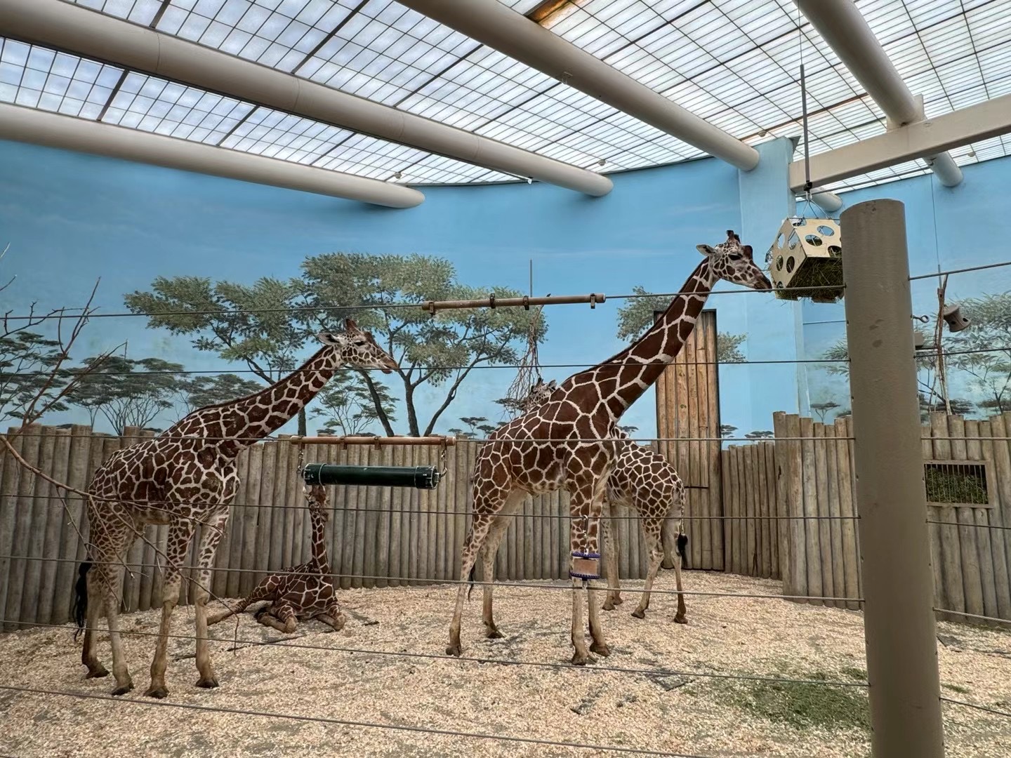 Brookfield Zoo