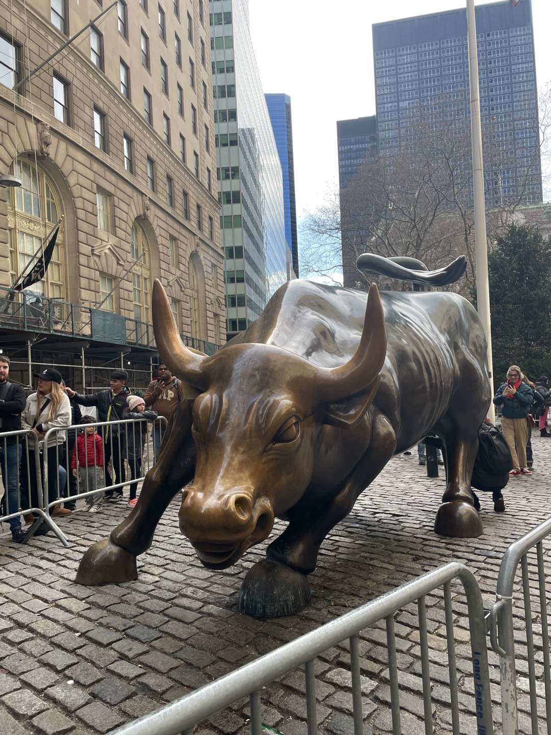 Wall Street Bull