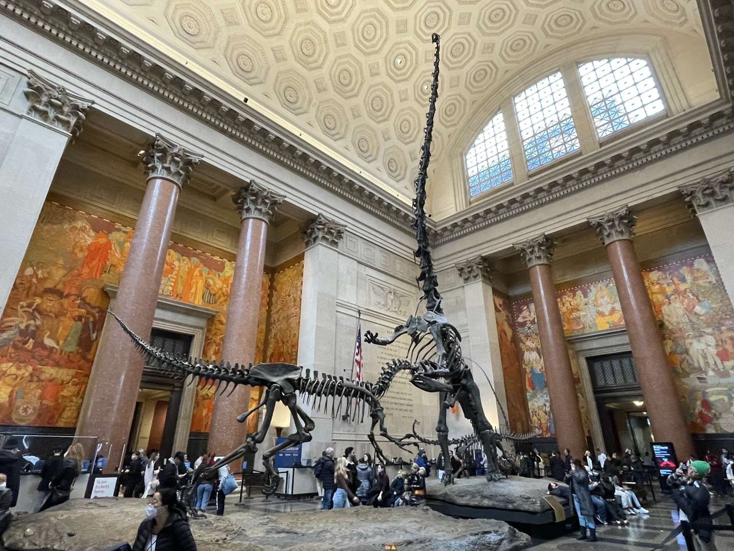 Museum of Natural History