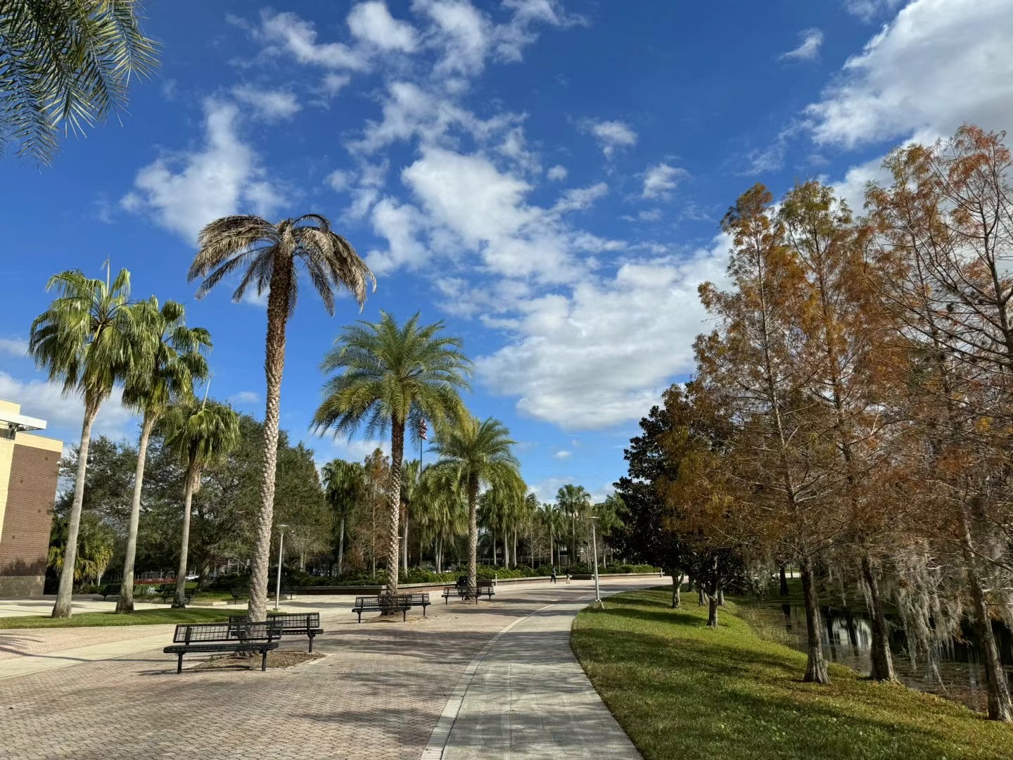 UCF