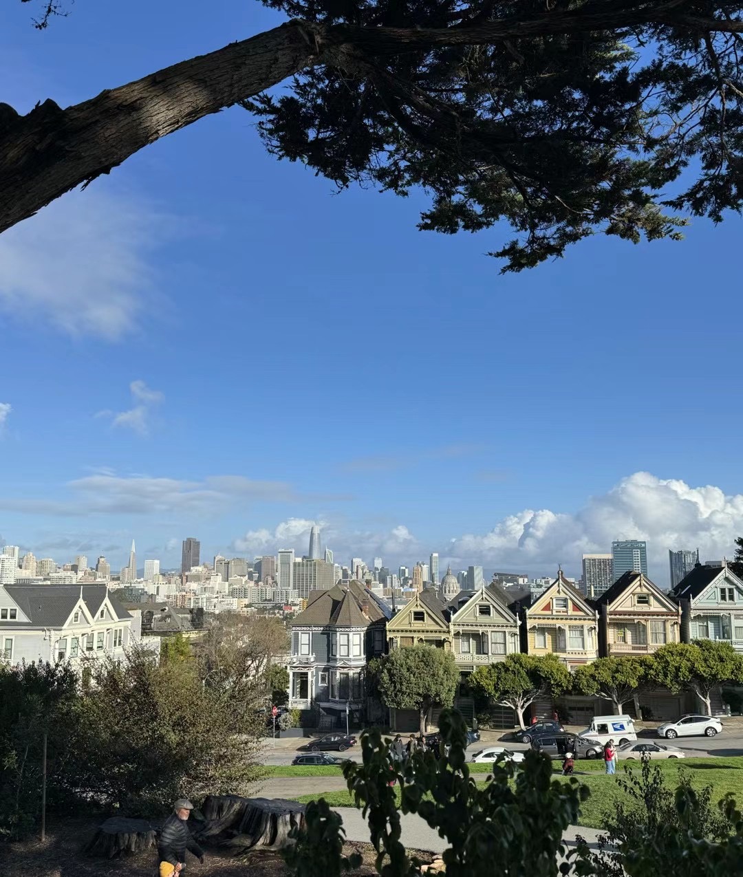Painted Ladies
