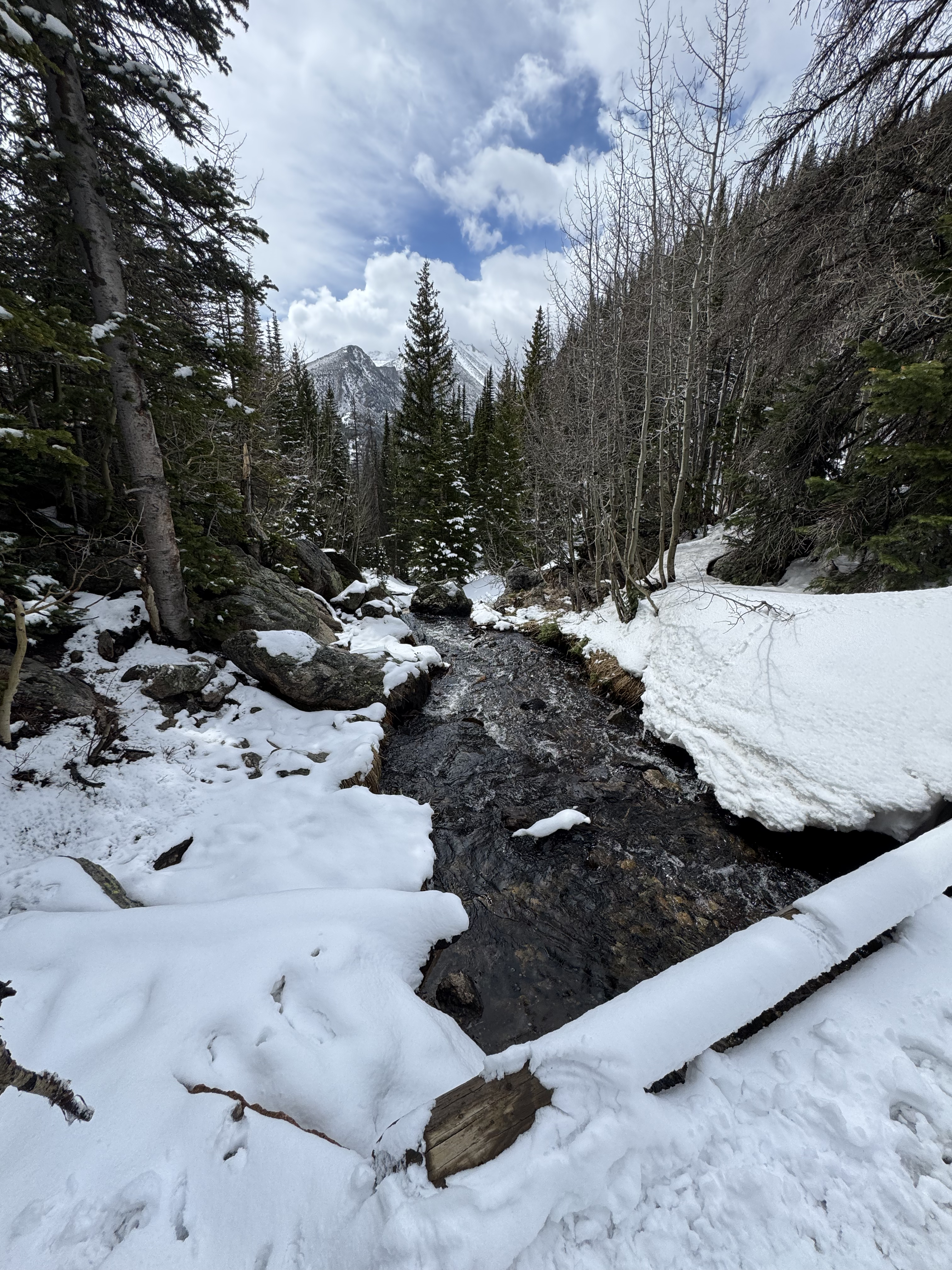Rocky Mountain