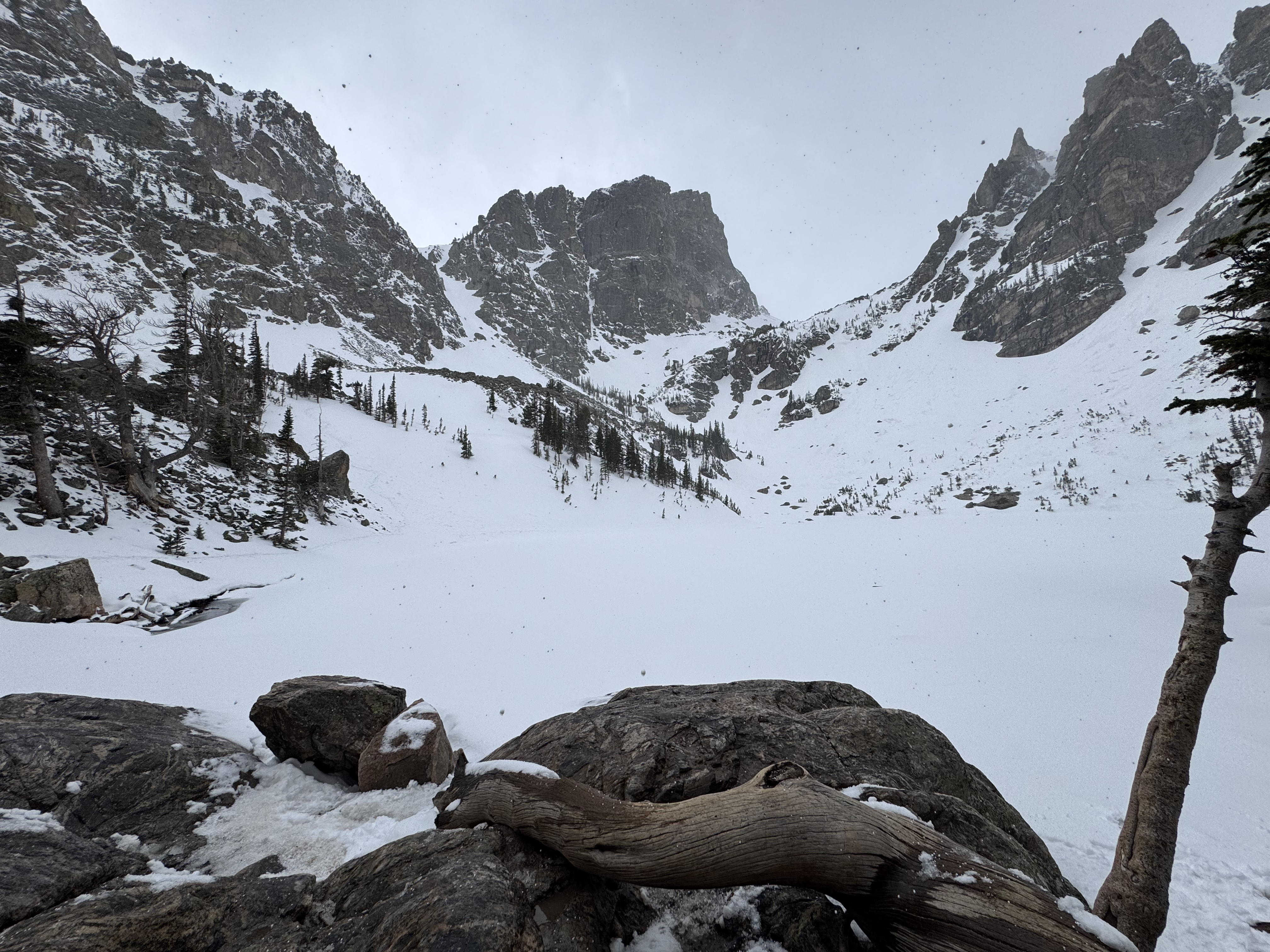 Rocky Mountain