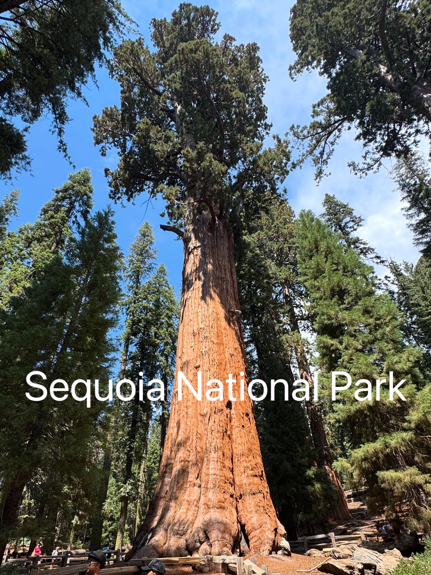 Sequoia National Park