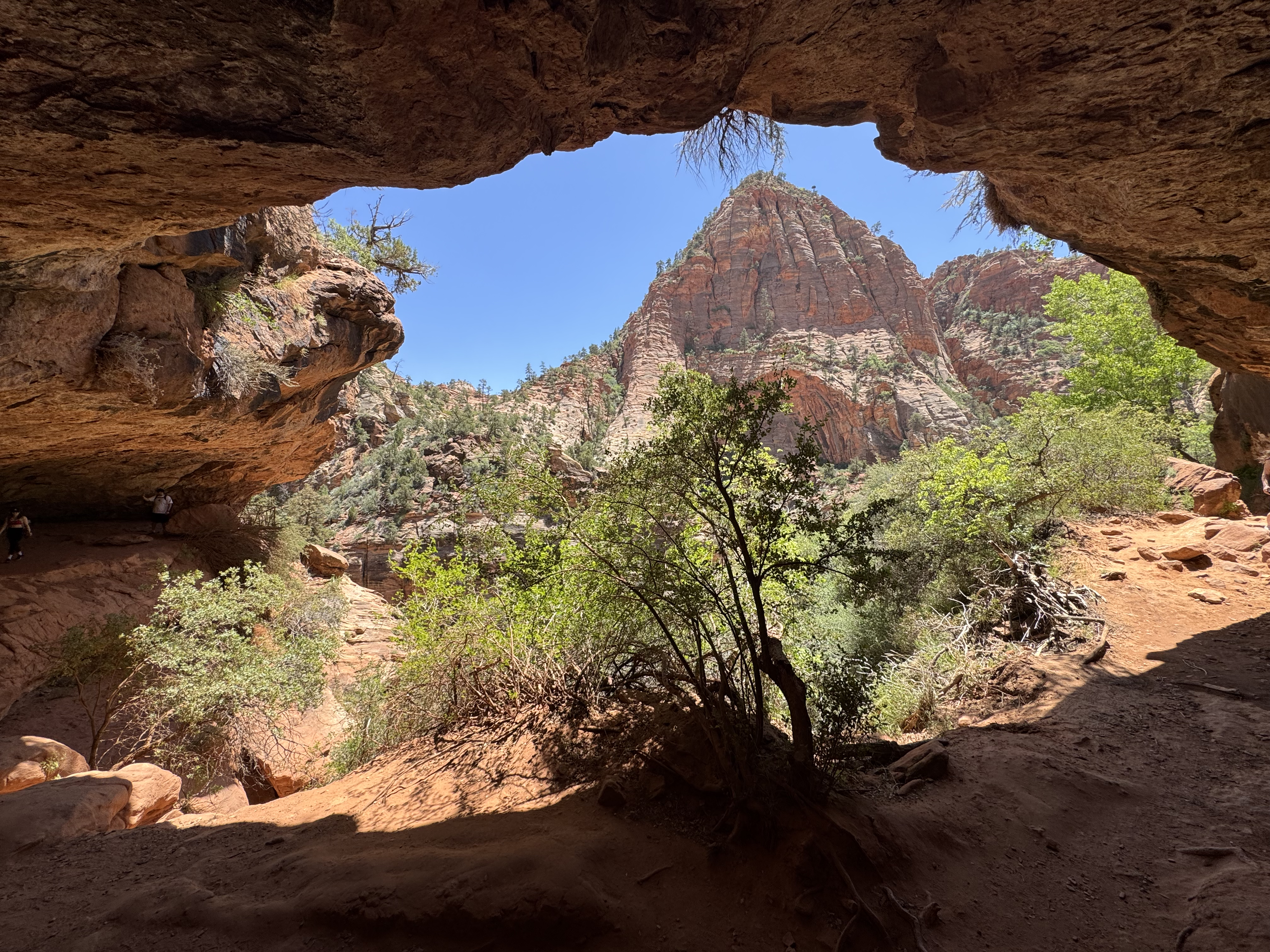Zion